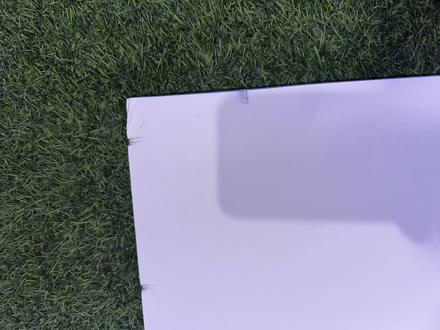 Takashi Murakami 229/300 Dob Print