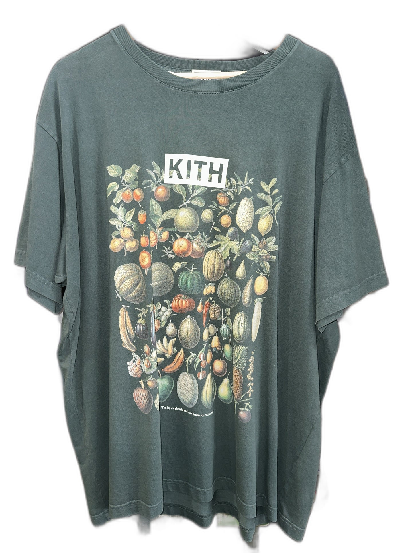 New Kith Growth In Time Tee Size Xxxl Mens