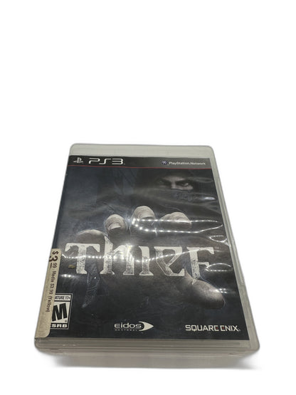 Sony PS3 Thief Tested