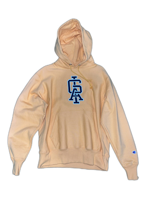 New Off White Virgil Abloh Brooklyn Museum Dark Side Of The Rainbow Hoodie Size