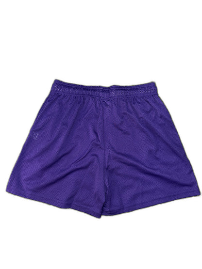 New Eric Emmanuel Ee Purple Gold Shorts Size Xxl Mens