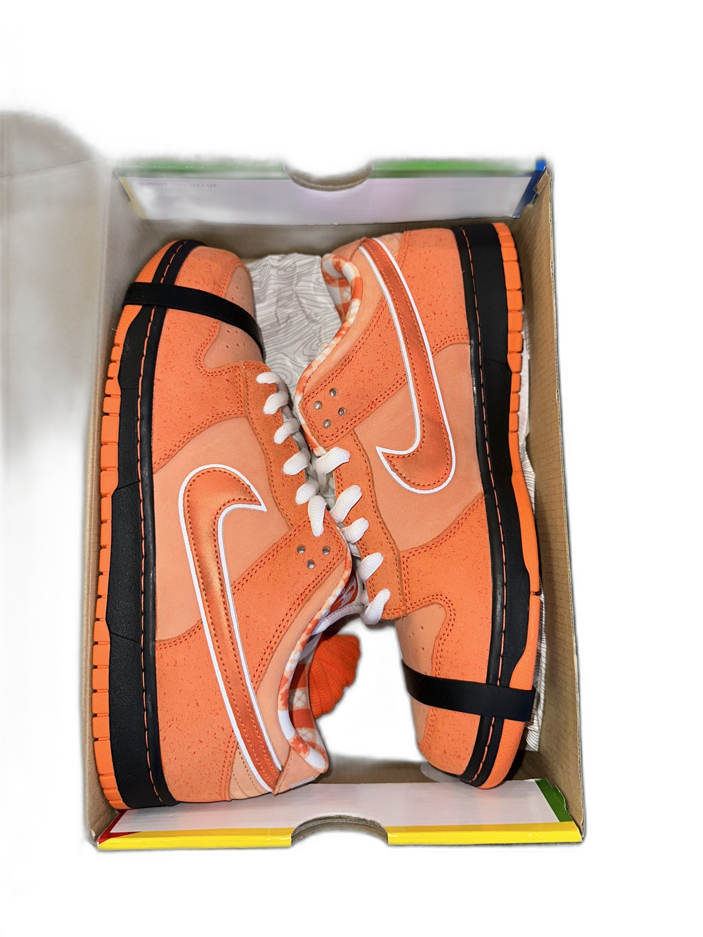 New Nike SB Orange Lobster Dunk Size 12 Mens FD8776-800